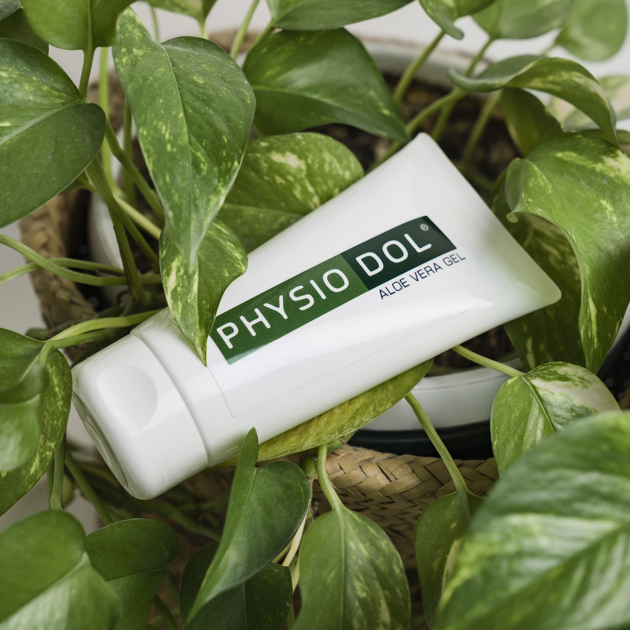 carmelo-farini-photography-physiodol-030