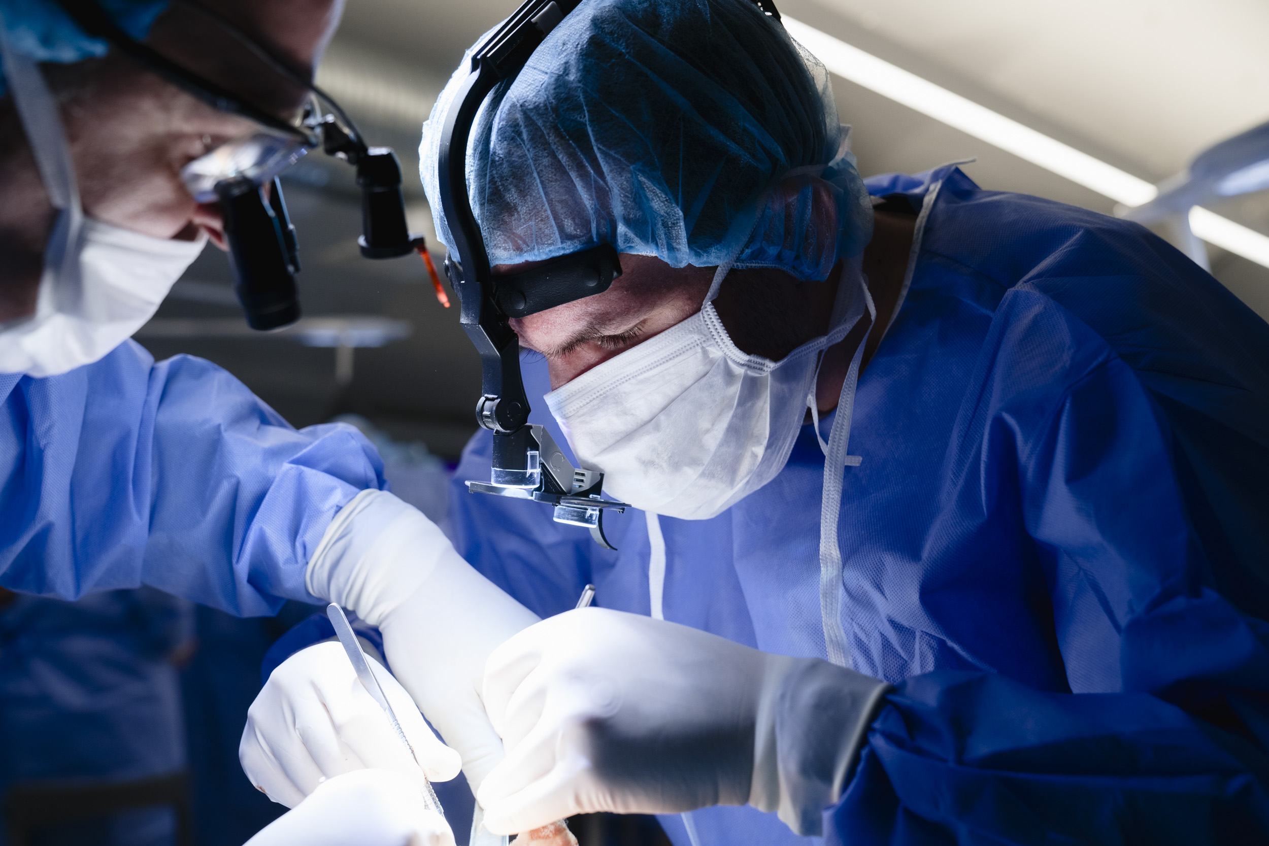 TecnossDental · OsteoBiol — Masterclass